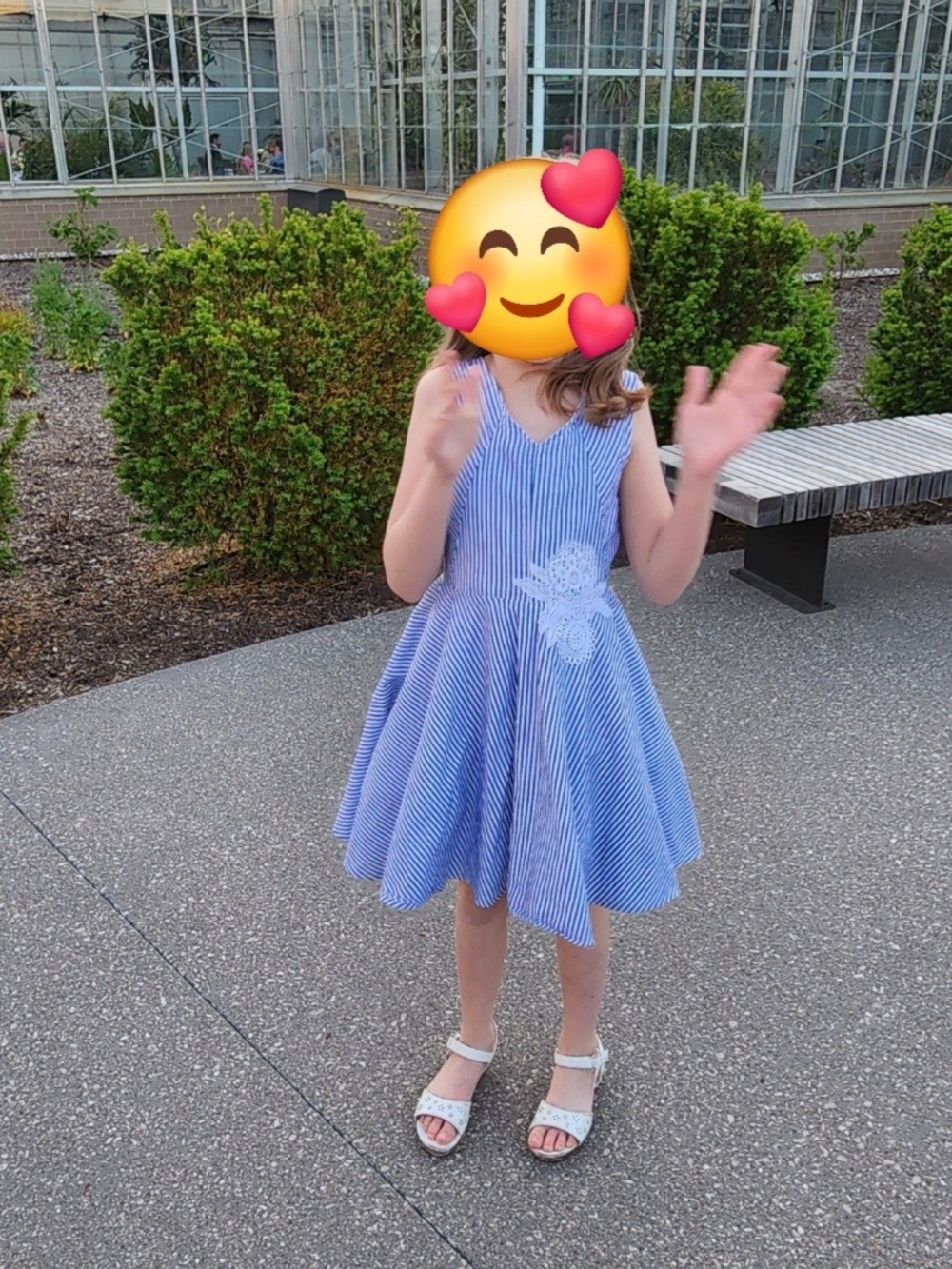 Girls Blue Striped Floral-Applique Party Dress